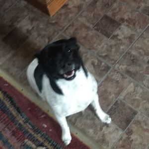 Meet your Posher, Joanna